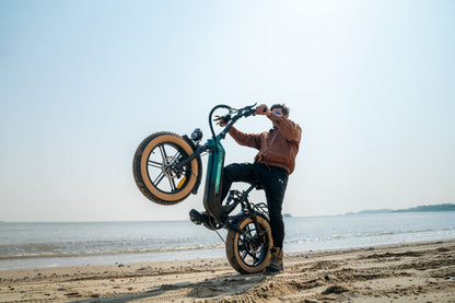 X3 Step-thru Fat Tire